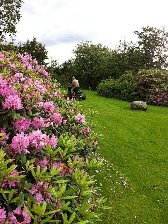 Agerdal Bed&Breakfast Villa Nykobing Mors Esterno foto